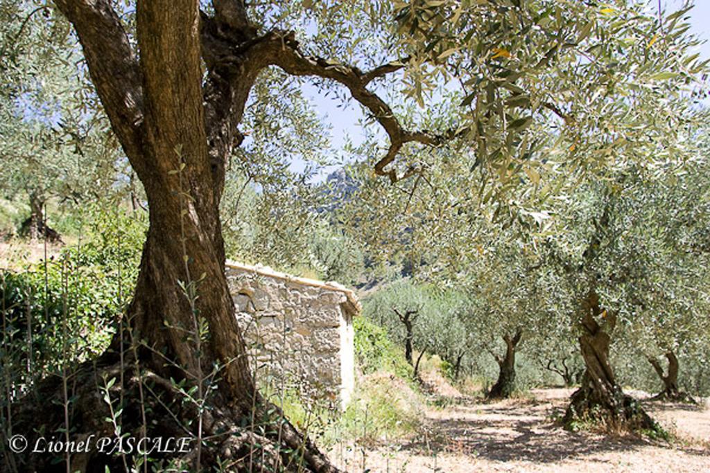Gite Marius Mirabel-aux-Baronnies Exteriör bild